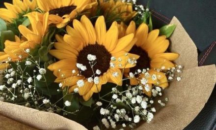 4 Bunga Paling Romantis Dengan Makna Yang Kian Mendalam