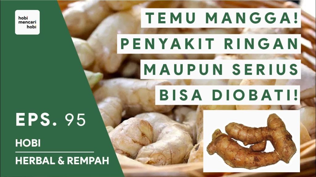 Potensi Curcuma