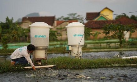 Skandal Keuangan EFishery Mampu Membuat Heboh Indonesia