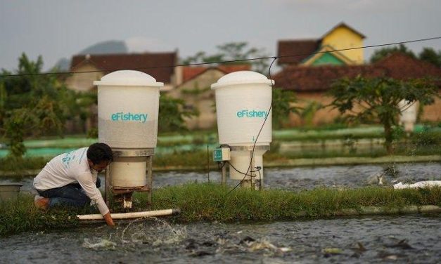 Skandal Keuangan EFishery Mampu Membuat Heboh Indonesia